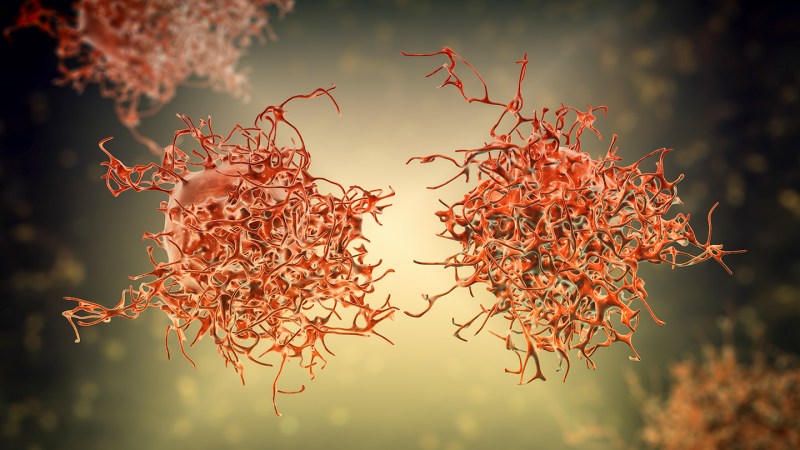 An illustration depicting several cervical cancer cells as reddish blogs each covered in a tangle of filaments.